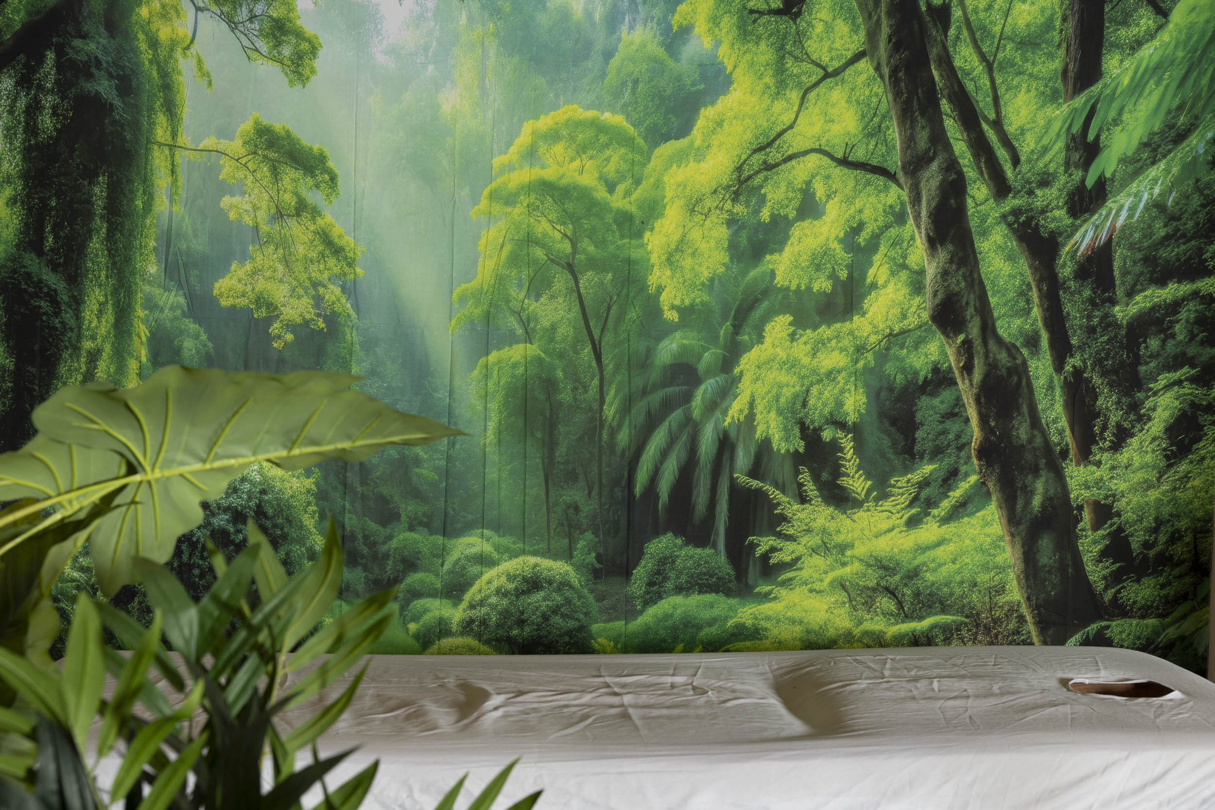Cabinet naturopathie